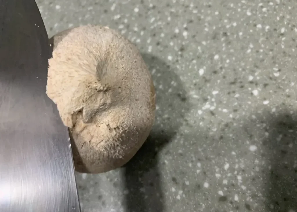 ヤングココナッツの割り方