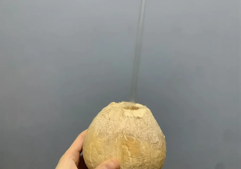 ヤングココナッツの割り方