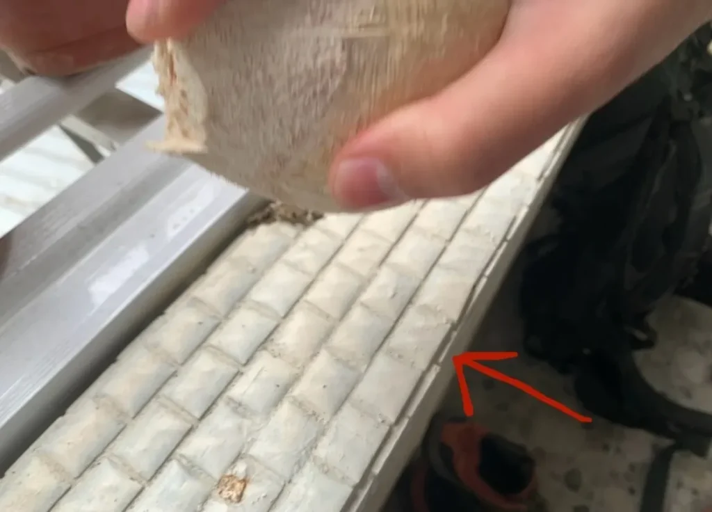 ヤングココナッツの割り方