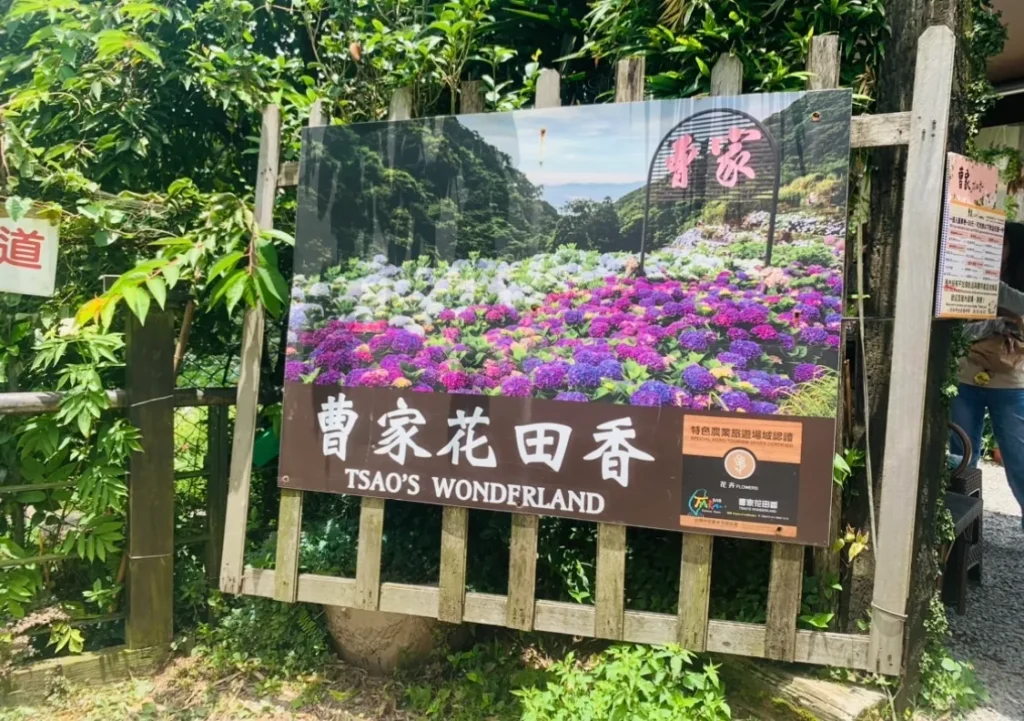台湾の紫陽花園 曹家花田香
