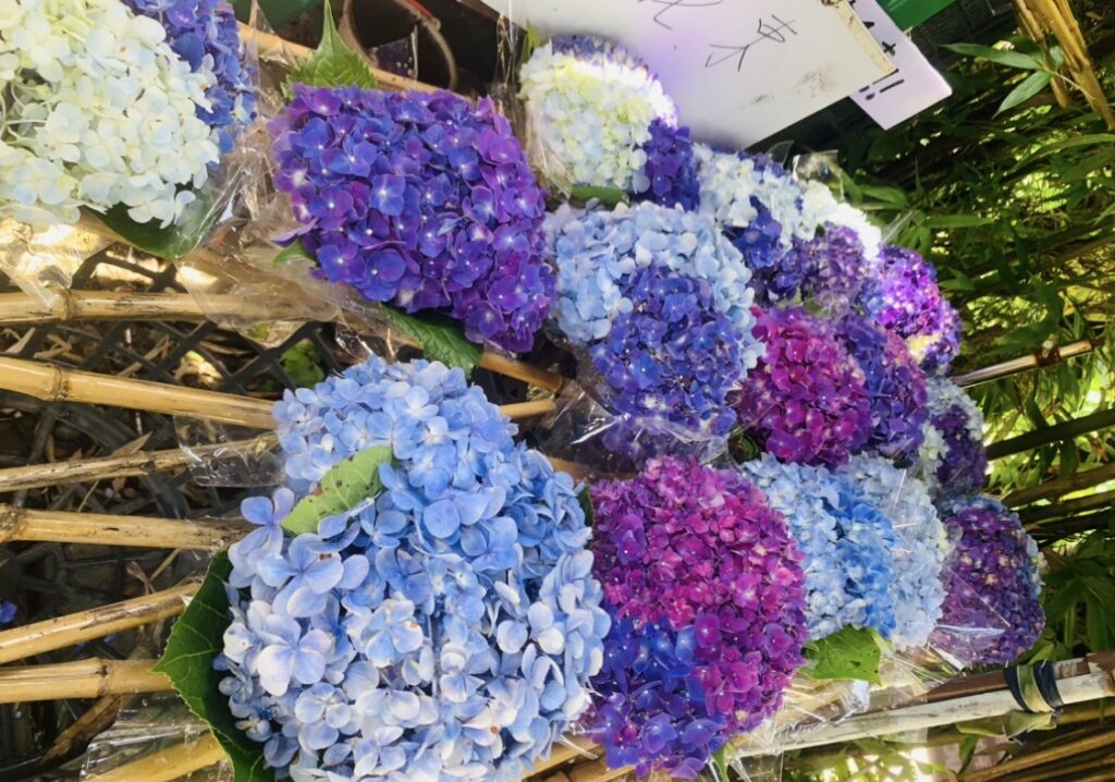 紫陽花ブーケ