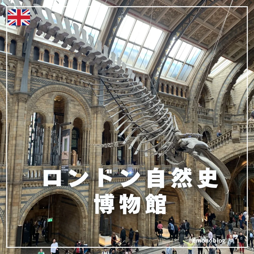 「パディントン」のロケ地ロンドン自然史博物館は無料!チケットは前から取った方がいい?